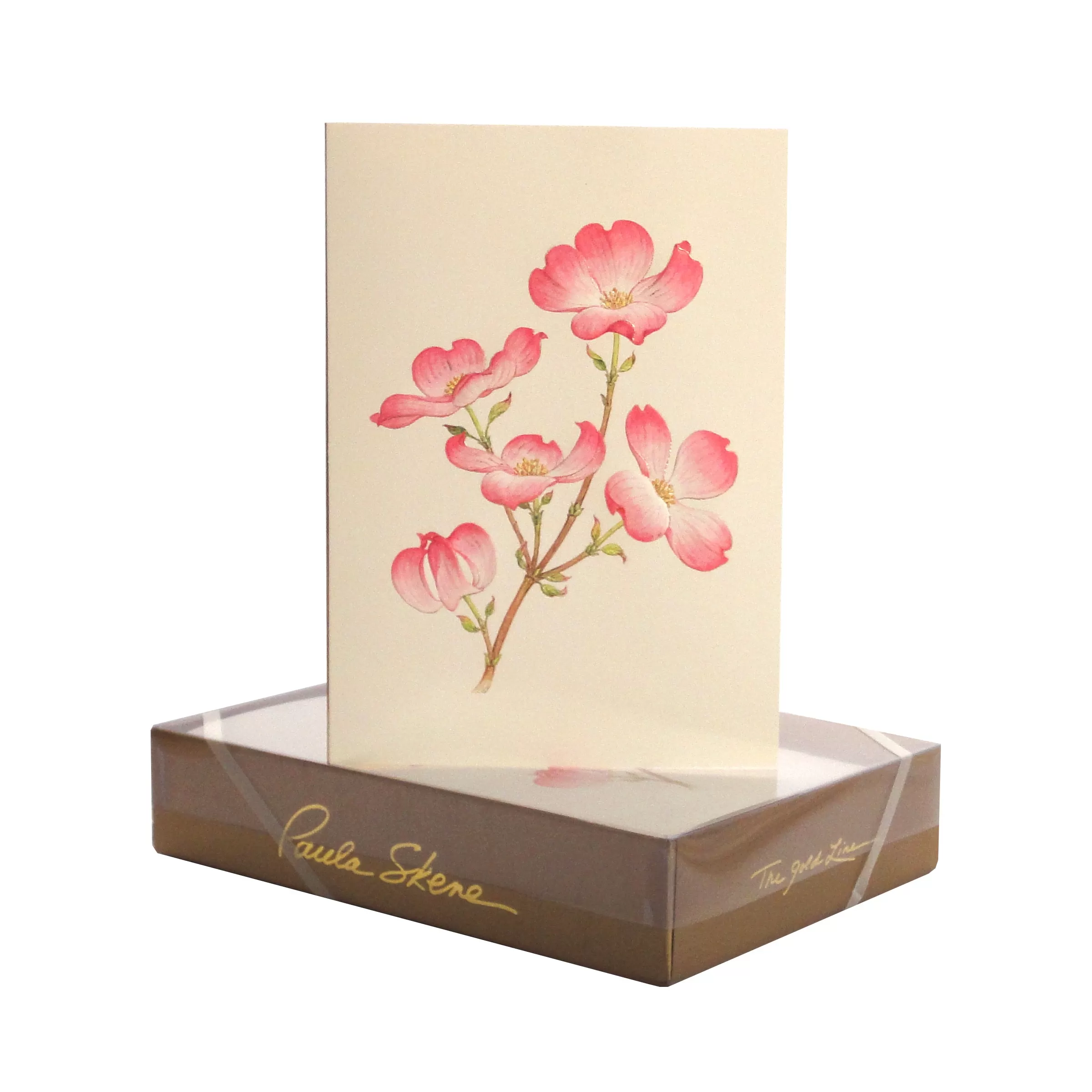 Dogwood Flower Note Cards, Set of 8