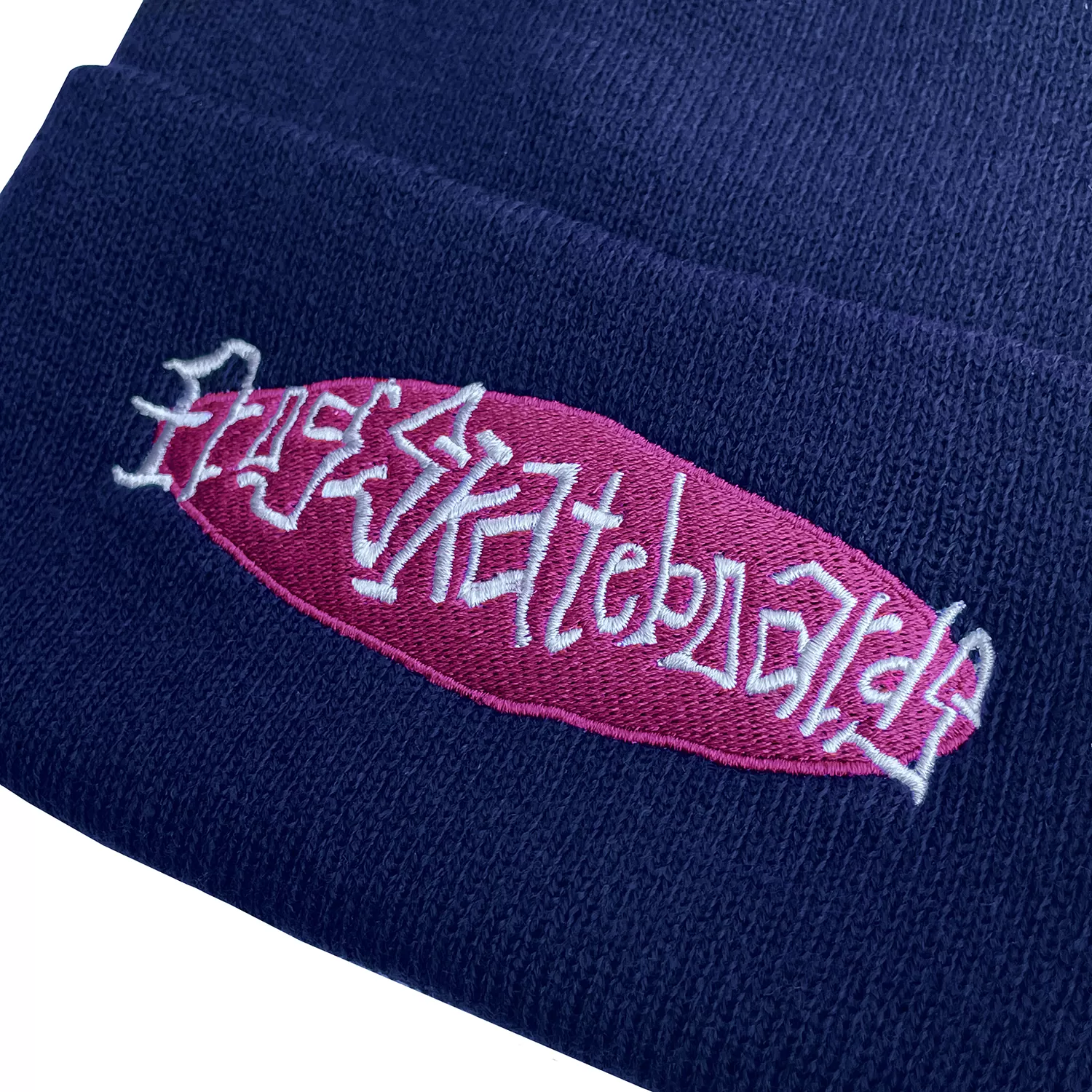 Frog Skateboards Oval Logo Beanie Navy