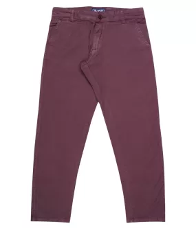 JDC Boy's Purple Solid Trouser