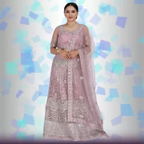 Mirror work lehenga Choli - Mauve