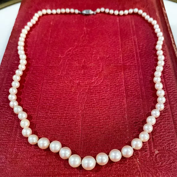 Vintage Single Strand Pearl Necklace